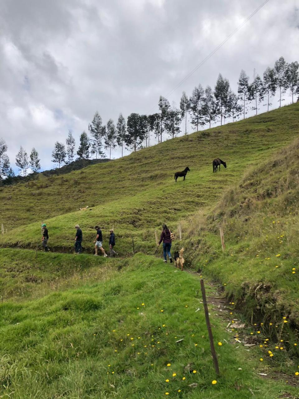 Sazagua Cocora Reserva Natural Hotel Саленто Екстериор снимка