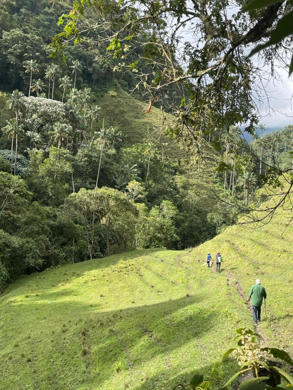 Sazagua Cocora Reserva Natural Hotel Саленто Екстериор снимка